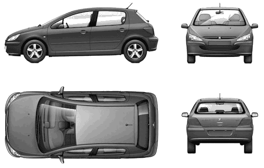 Karozza Peugeot 307 5-Door 2004